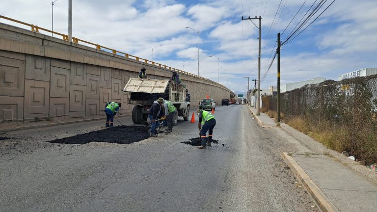 WhatsApp Image 2025-12-02 at 1.00.01 PM