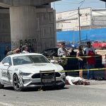 WhatsApp Image 2026-04-09 at 2.00.06 PM