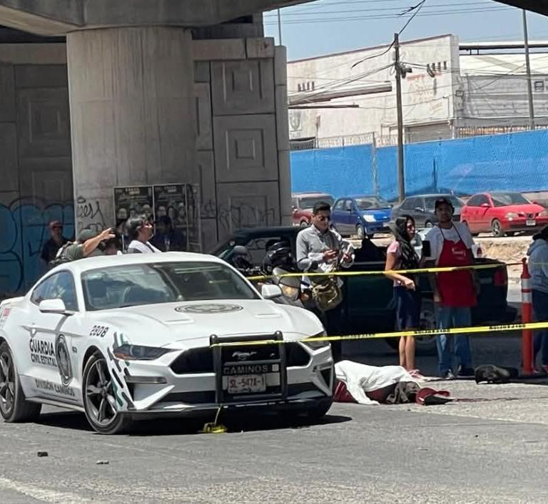 WhatsApp Image 2026-04-09 at 2.00.06 PM