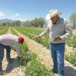 WhatsApp Image 2026-04-17 at 3.18.53 PM