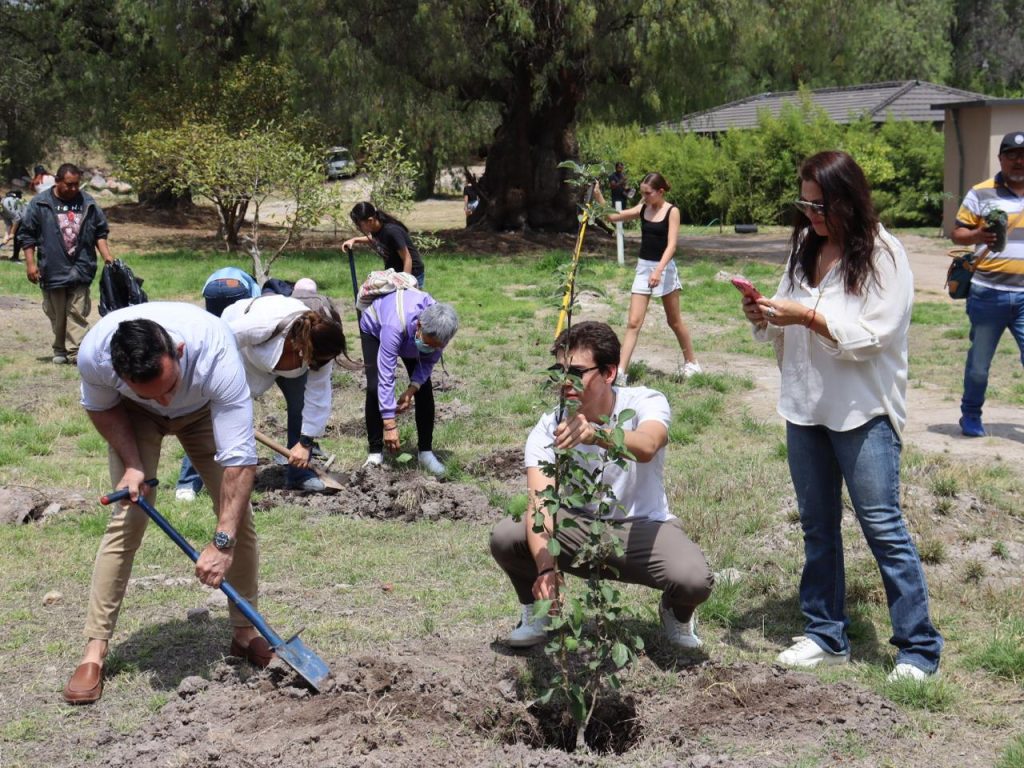 WhatsApp Image 2026-04-20 at 12.44.25 PM