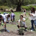 WhatsApp Image 2026-04-20 at 12.44.25 PM